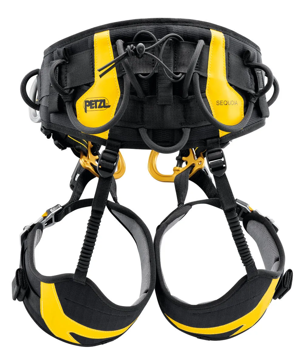 Sequoia Climbing Harness